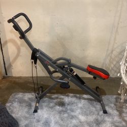 Sunny Health Fitness Row And Ride