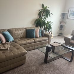 Leather Sectional + Single Chair