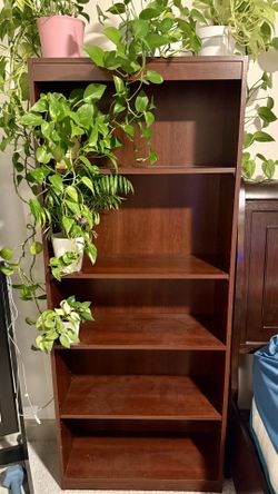 Tall wooden bookshelf with multiple