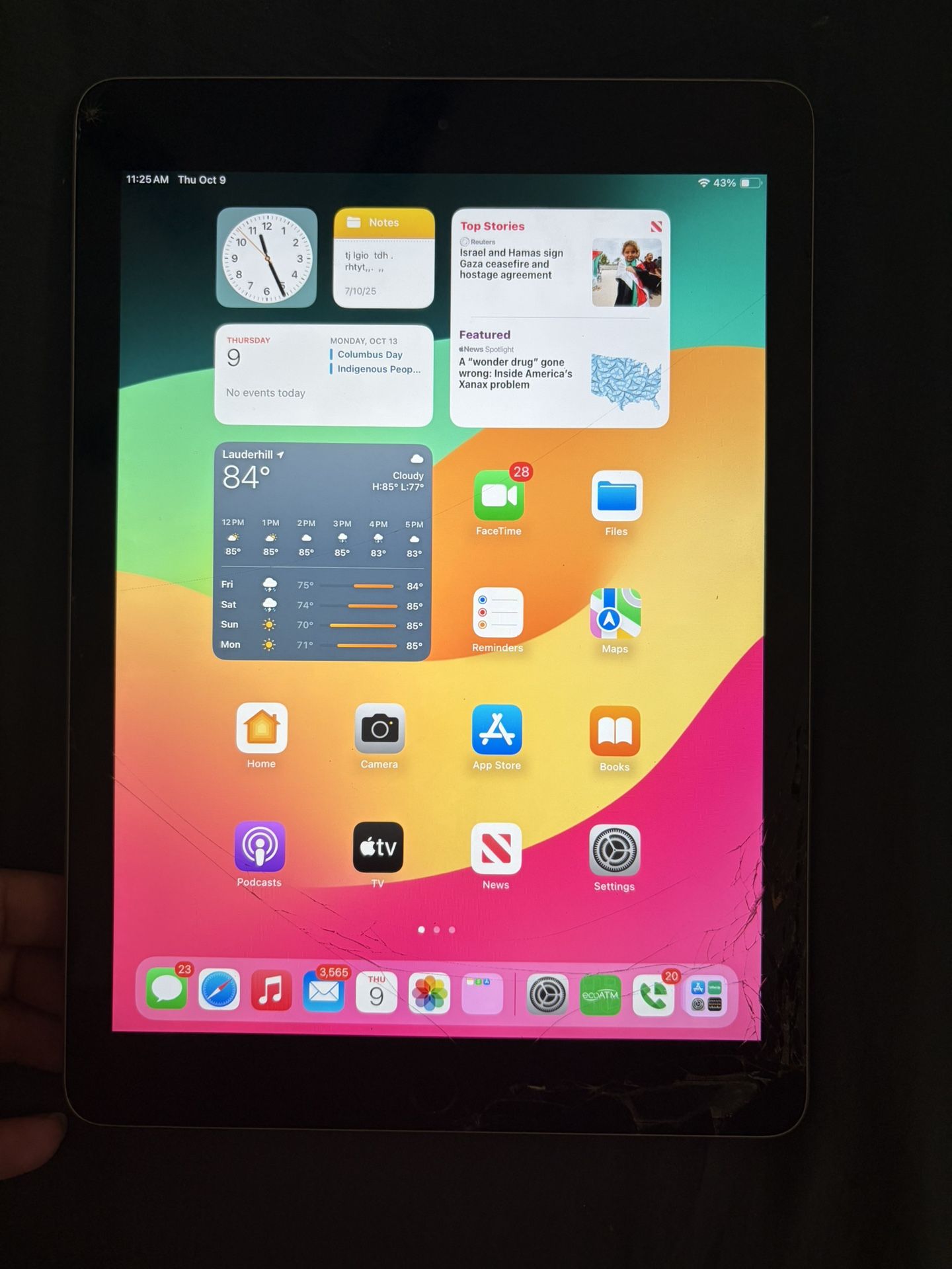 iPad