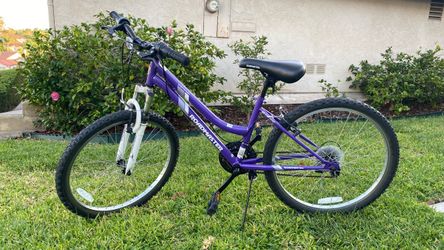 Roadmaster Mountain Bike Purple