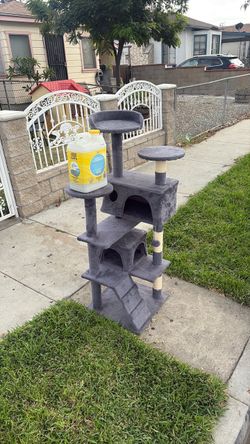 Cat house
