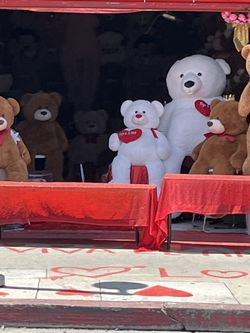 Life size Teddy Bears 