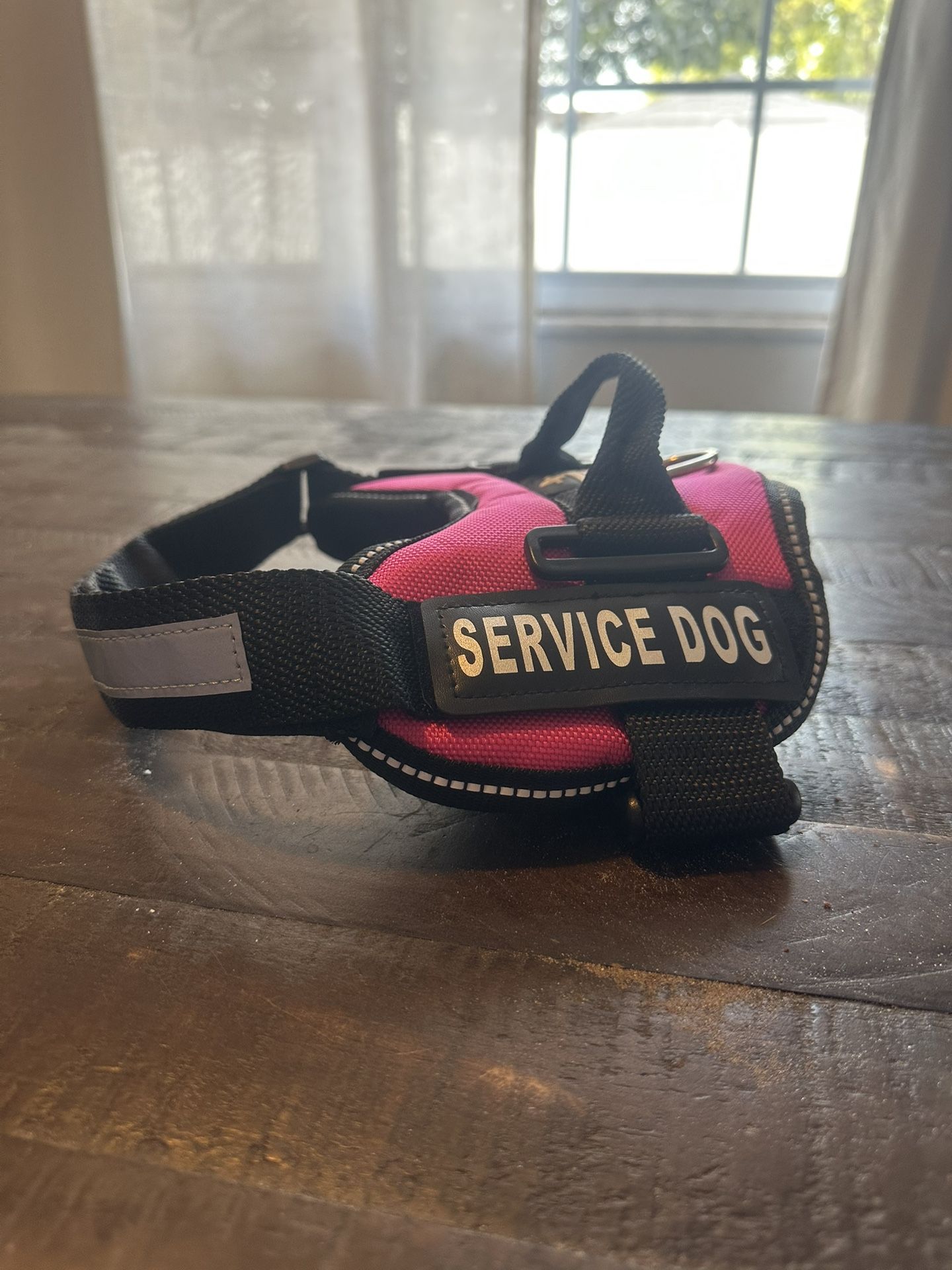 Small/medium Breed Service Dog Best