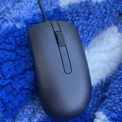 Mouse