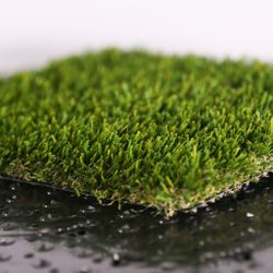 Pawscape Premium Pet Turf