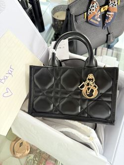 Mini Dior Book Tote