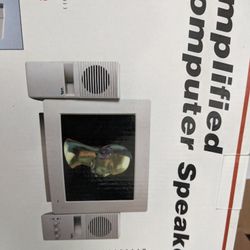 Computer / Radio Speakers