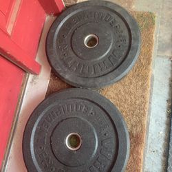 2x25 Lbs Bumper Plates