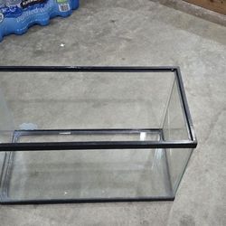 10 Gallon Tank