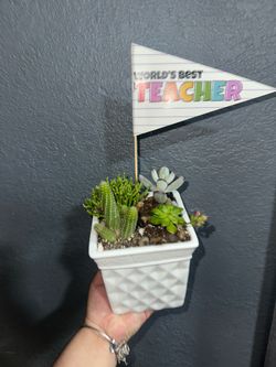 Teacher appreciation gift