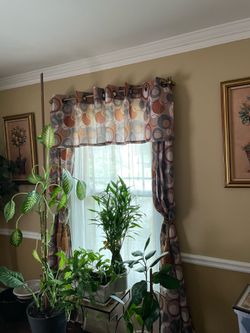 Curtains