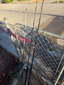 Fishing Rods