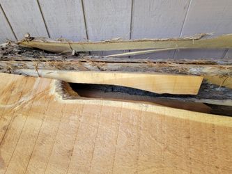 Cedar WOOD OF ALL SIZES AND WISTH 150.   0B0!!!!!