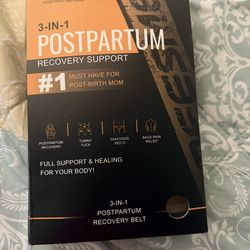 3-IN-1 postpartum recovery support