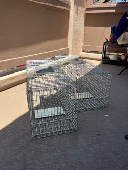 Animal traps