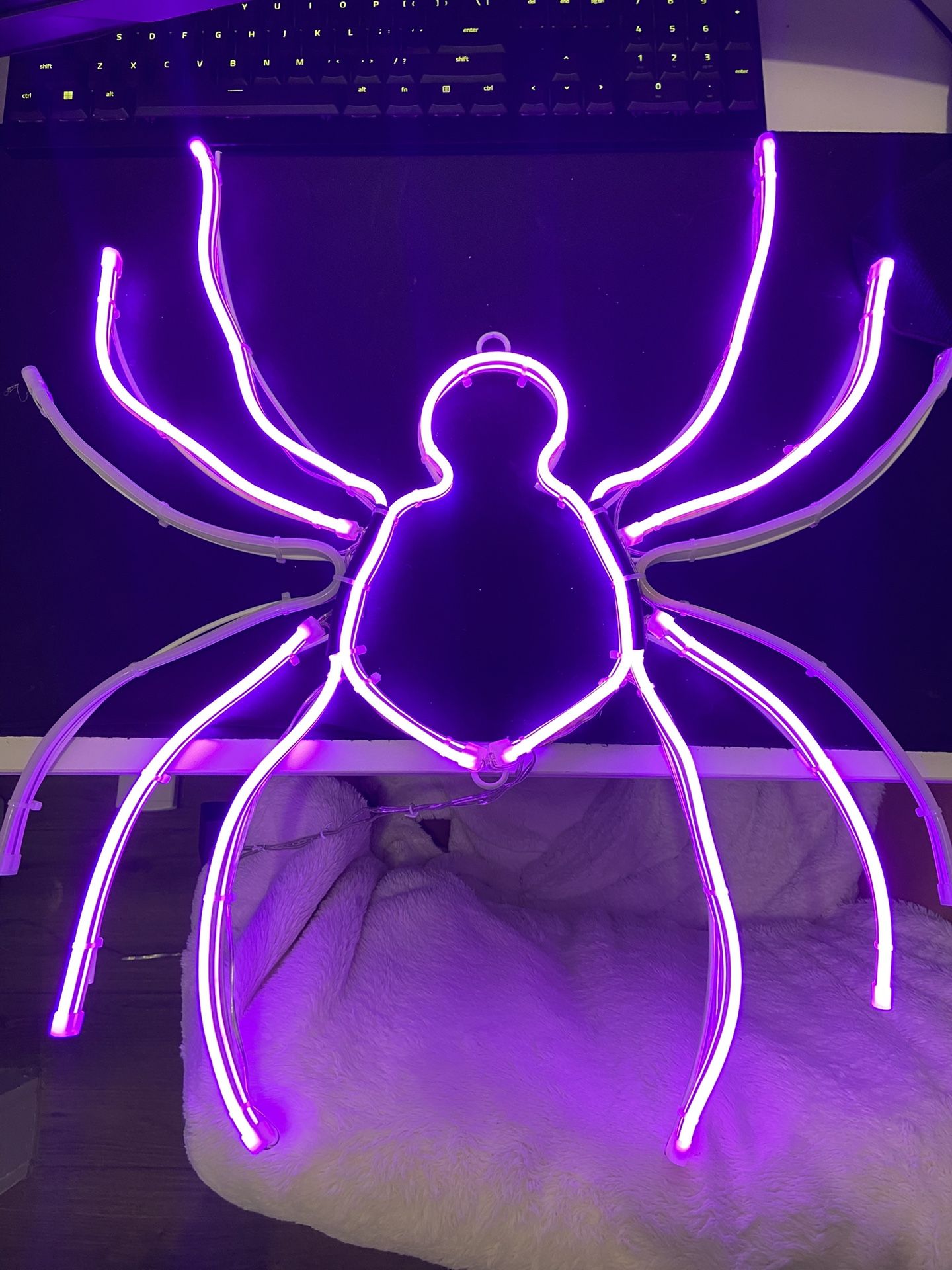 Neon Spider Decor