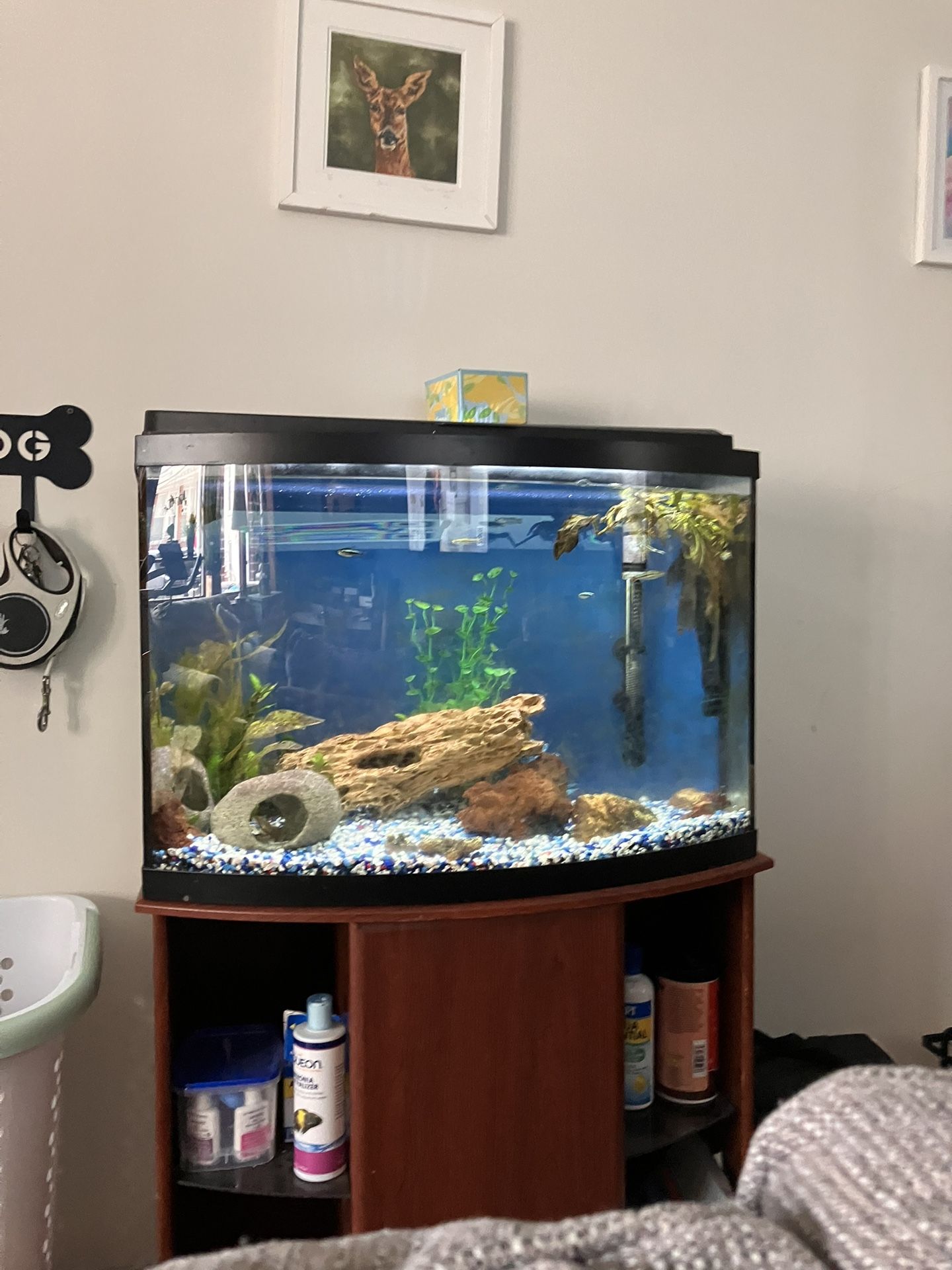 Fish Tank Read Caption