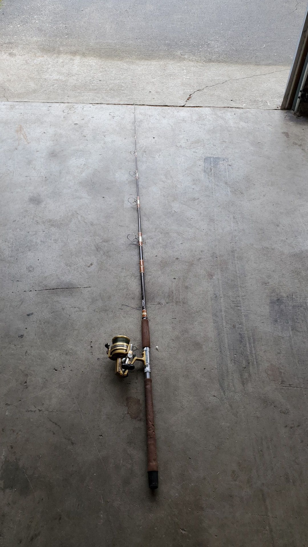 Sabre fishing rod and reel