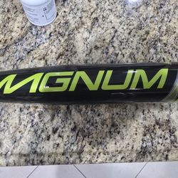 -10 Eason Magnum aluminum Bat GSR1818