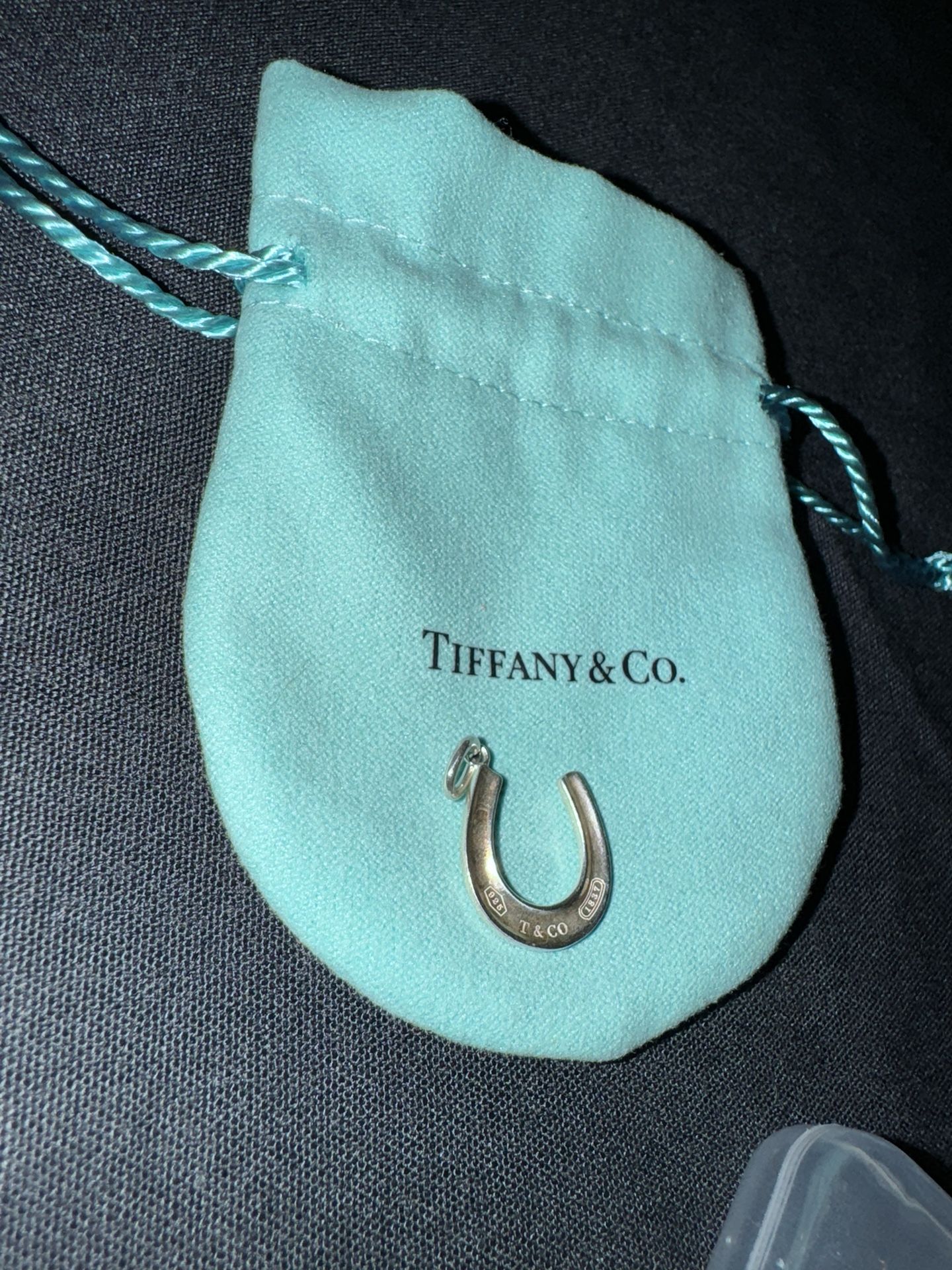 Tiffany & Co. Horseshoe Pendant