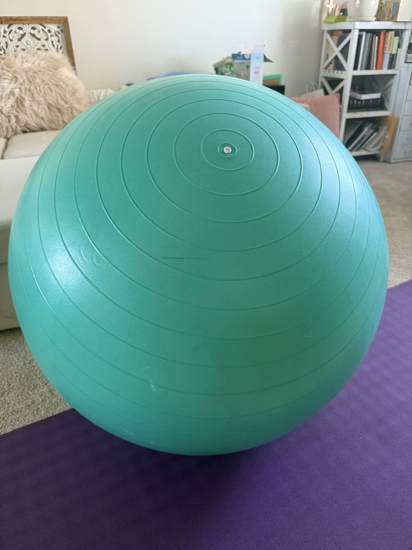 Exercise Ball