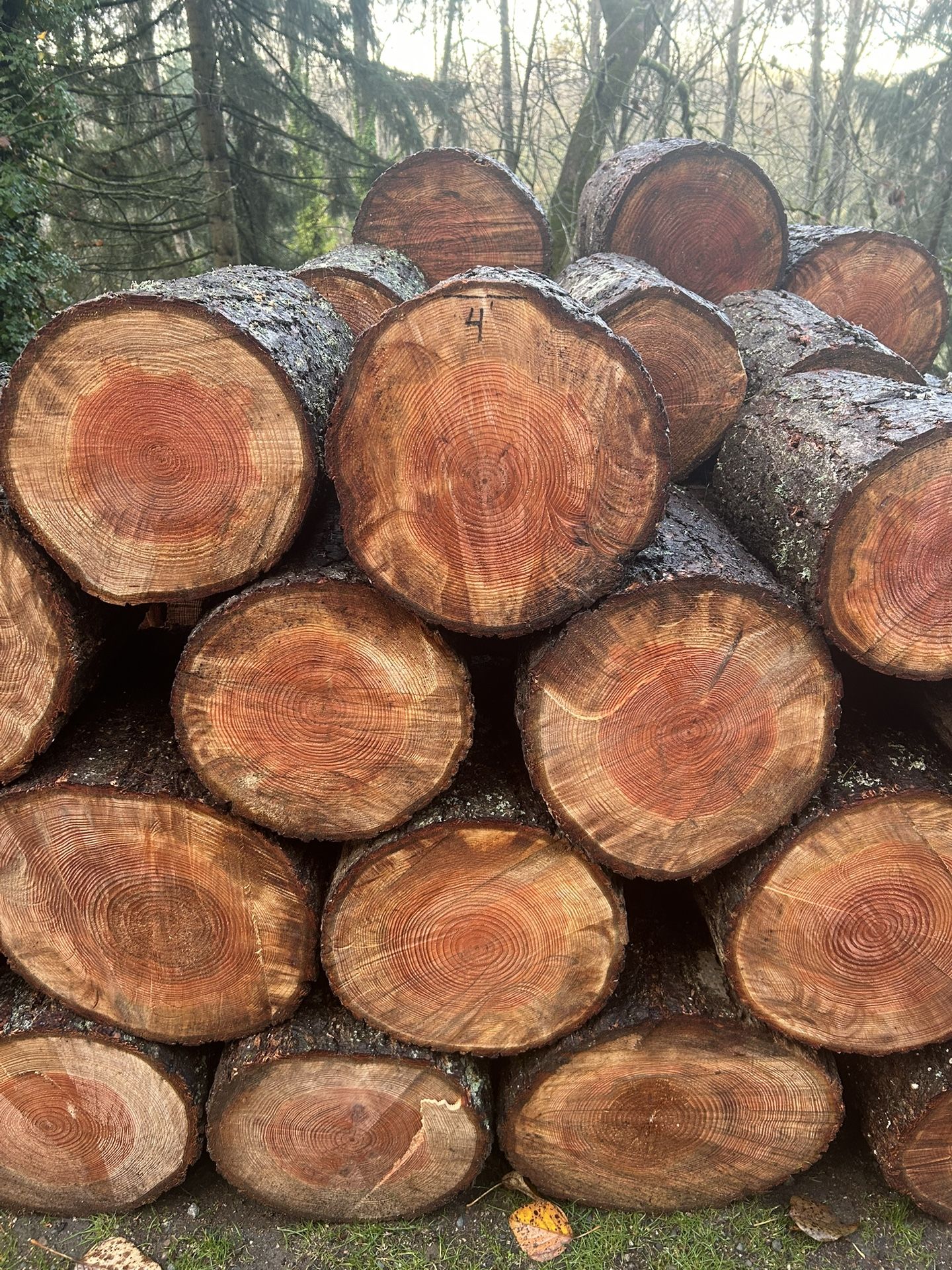 One Cord, If Zoom In On Pictures 4’ Is Marked On A Center Block. 8’ Is Marked On A Bottom Left Block.