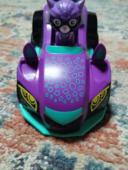 PAW Patrol cat.