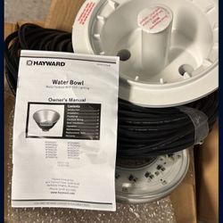 Water Bowl New Pool - Hayward