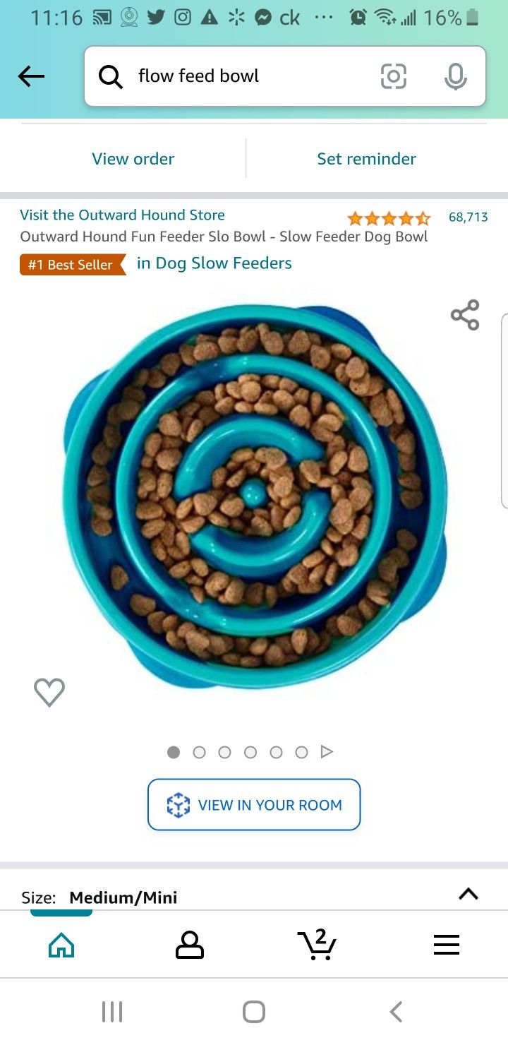 Slow Feeder Dog Bowl