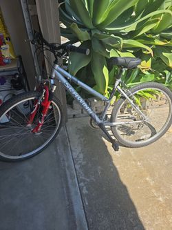 Schwinn Mountain Bike 24” Tires + New Comfortable Seat