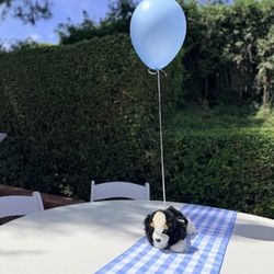 Blue Gingham Table Runners + One Banner + One Hat