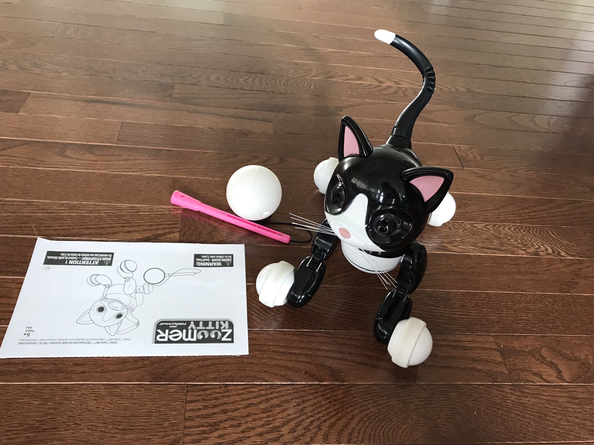 Pet kitty toy