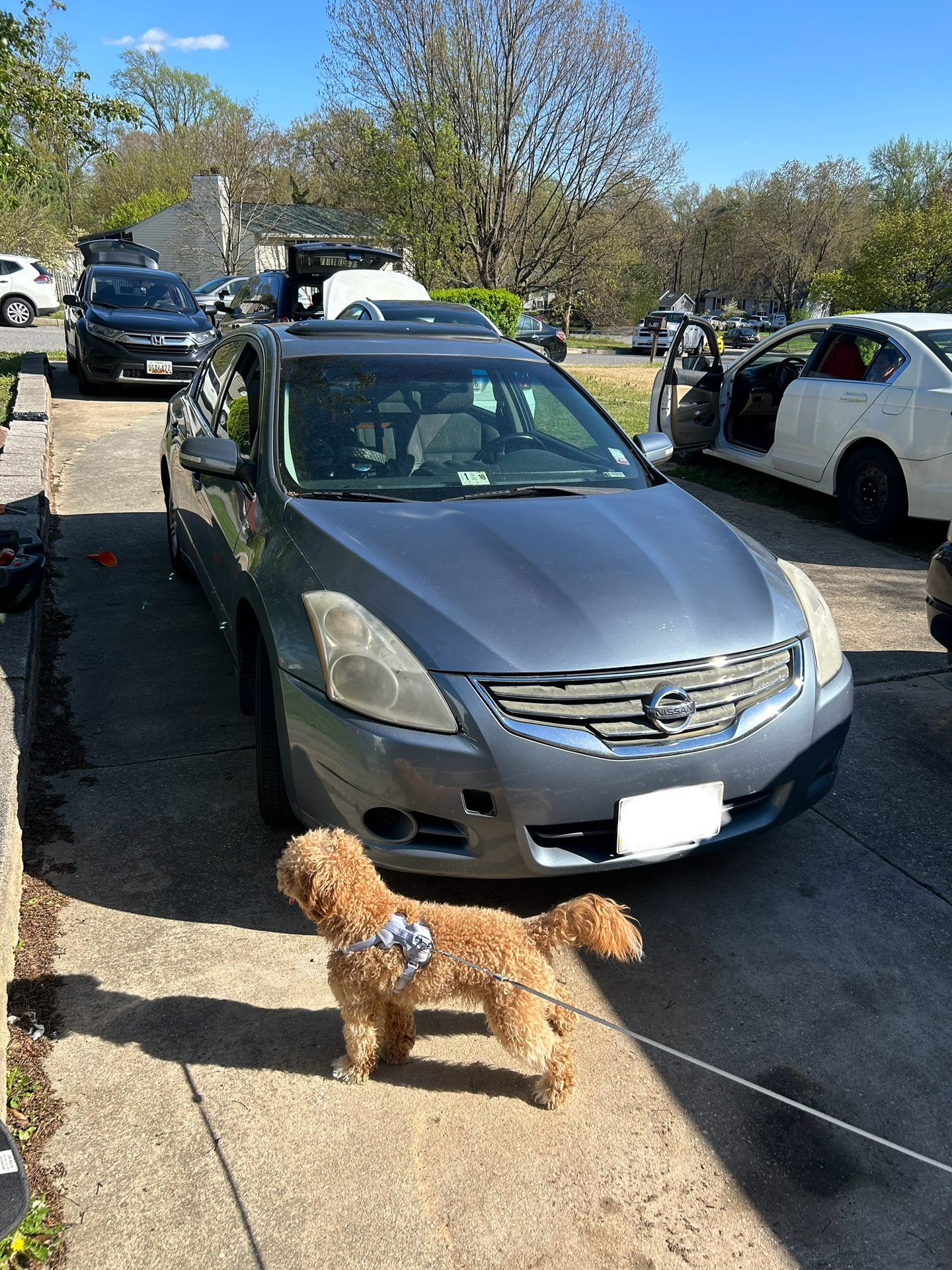 2010 Nissan Altima