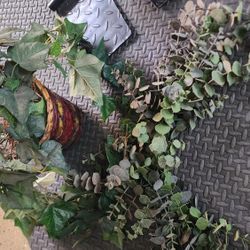 Artificial Plants