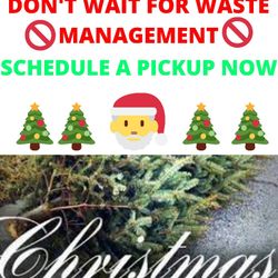 Christmas Tree Pick Up $20