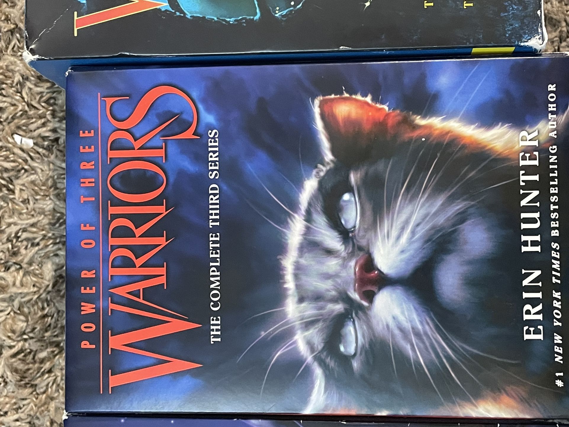 Warrior Cats 5th Series Paperback (Books 1, 2, 4 & 5) for Sale in Brooklyn  Center, MN - OfferUp