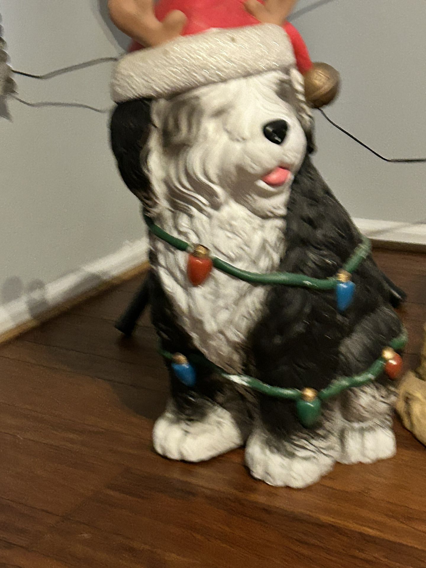 Christmas Dog