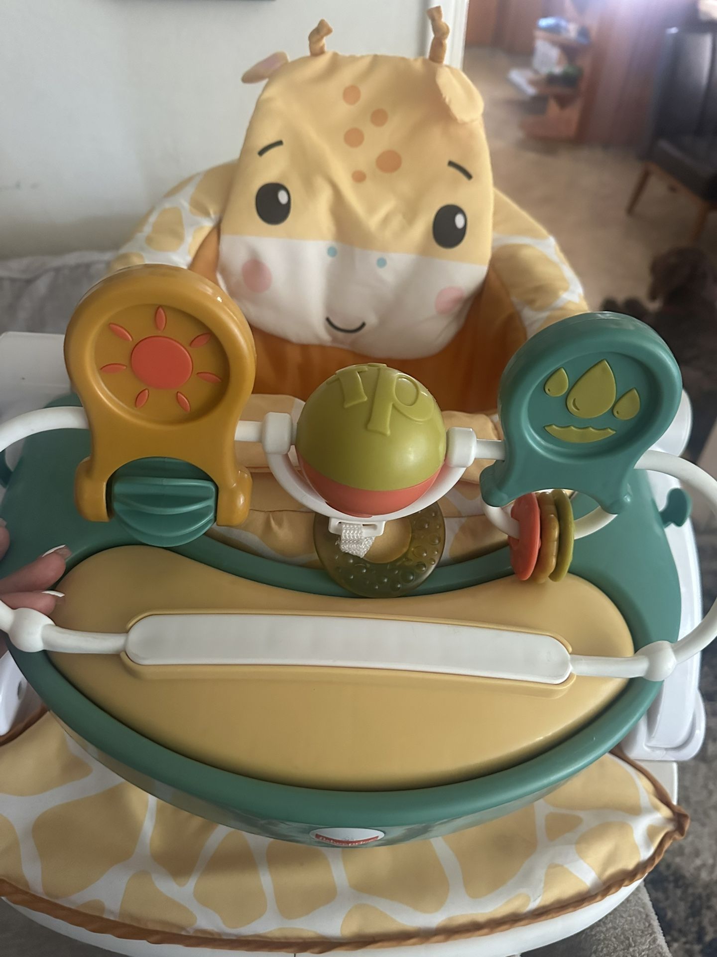 Baby Chair