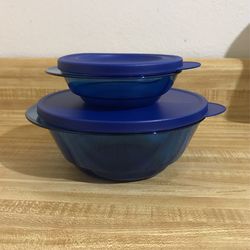 Tupperware 2 Piece