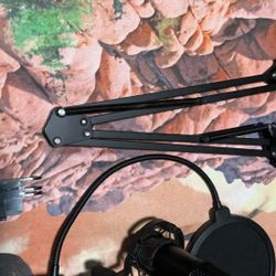 Ovedisa Blogging Mic