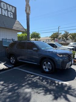 Tint for sale