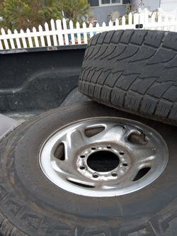 Ram.   8 Lug 