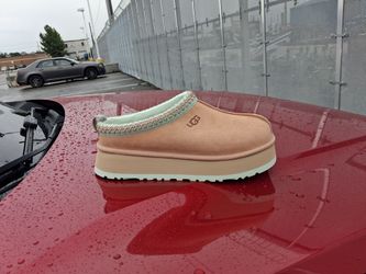 Brand New And Original Women Uggs Tazz II boots size 7, 8  and 9