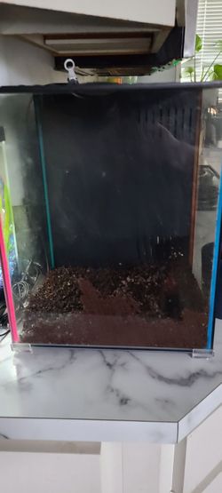 10 gallon tank/aquarium