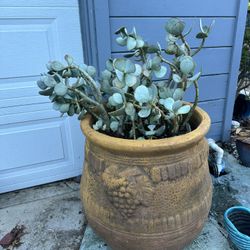 Large 60 Gallon Terra Cotta Planter 