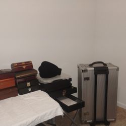 LG Metal Jewelry Travel Box On Wheels, 14 Trays Jewelry Boxes,Neck Stand