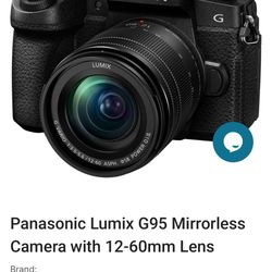 Panasonic Lumix G95 Mirrorless Camera with 12-60mm Lens