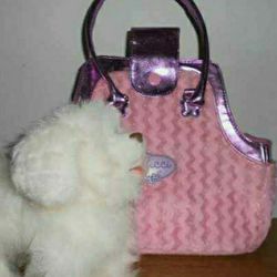 FurReal Friends Walking White Pooch,Puppy Dog With Pucci Pups Pink Dog Carrier