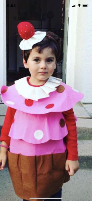 New And Used Costume For Sale In Vista Ca Offerup